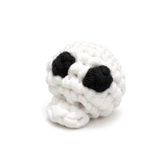 Spadina's Little Skull