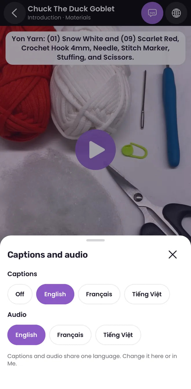 Captions and audio in English, French or Vietnamese